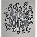 Dub techno (Schizoid Radio)