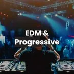EDM & Progressive (Big FM)