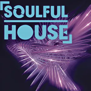 Soulful House (Vip Radios)